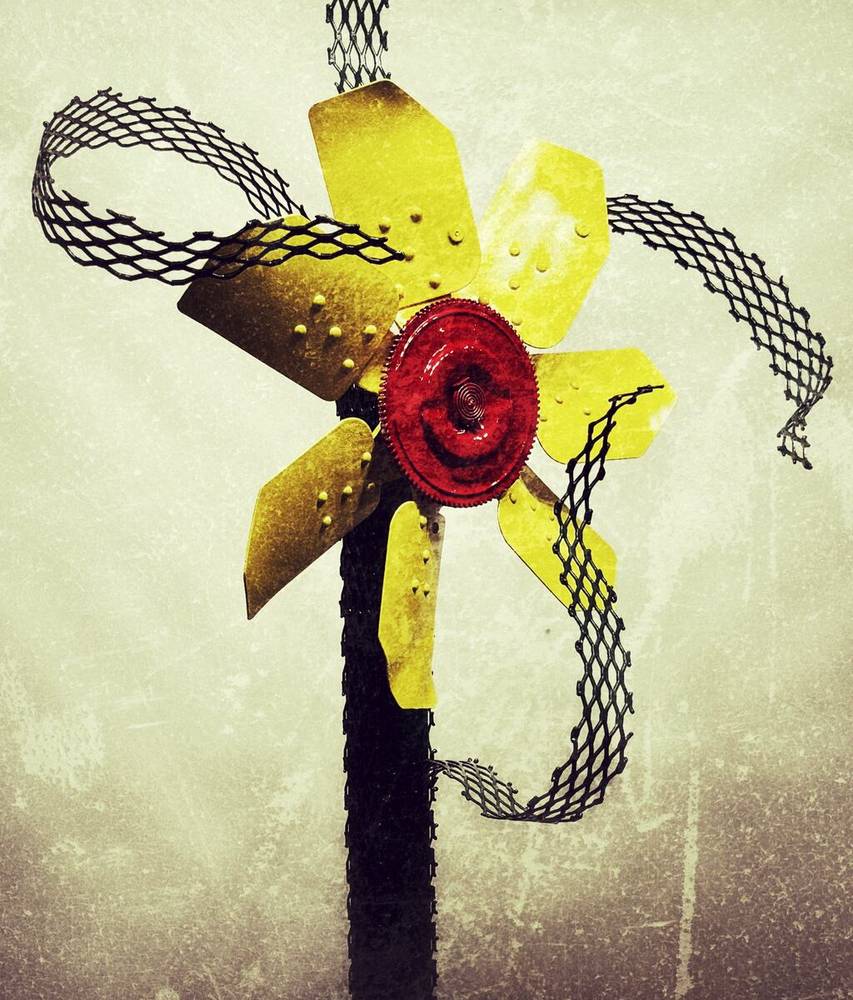 Fan Flower
